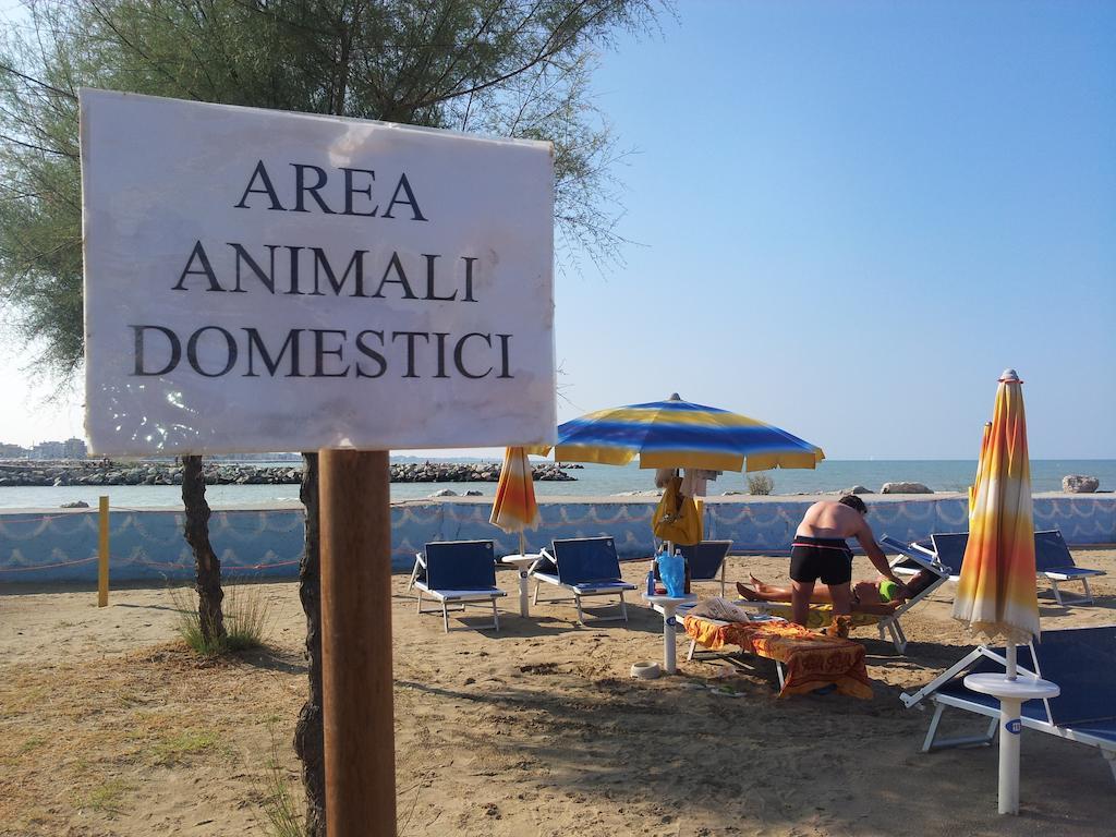 Hotel Paloma Beach Front Chiringuitos Time ริมินี ภายนอก รูปภาพ
